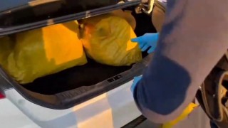 Şanlıurfada 35 kilogram skunk ele geçirildi: 1 gözaltı