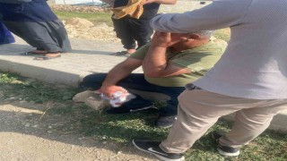 Şanlıurfada çocukların kavgasına büyükler karıştı: 5 yaralı