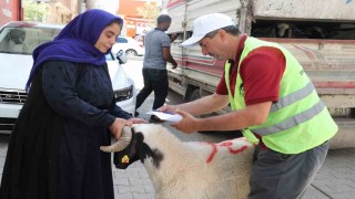Şanlıurfada yetim ailelere canlı kurbanlık dağıtıldı