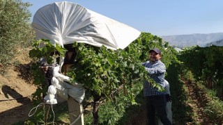 Sarıgölde örtü ekipleri işleri sıraya koydu
