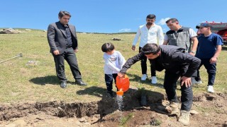 Sarıkamışta fidanlar toprakla buluştu