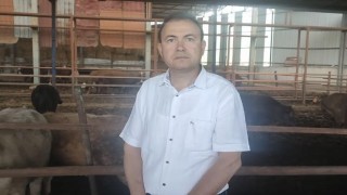 Sattığı kurbanlık dananın fotoğrafını çekerken canından oldu