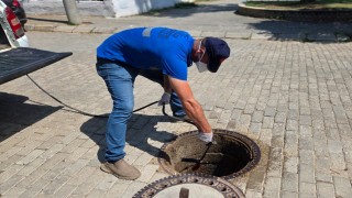 Şehri haşereler bastı, Efeler Belediyesi mücadele başlattı
