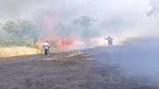 Siirtte çay için yakılan ateş fıstık ağaçlarını küle çevirdi