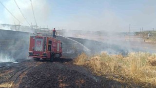 Siirtte çıkan yangında ekili alanlar zarar gördü