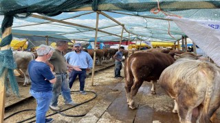 Sincanda Kurban Bayramı hazırlıkları tamam
