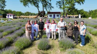 Sinopta lavanta kokulu gastronomi buluşması: Yöresel lezzetlere mor dokunuş