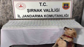 Şırnakta 281 bin 500 TL değerinde kaçak malzeme ele geçirildi