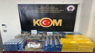 Şırnakta bir haftada 66 şüpheli hakkında işlem yapıldı