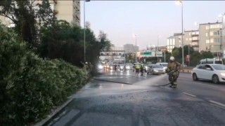 Şişlide ağaçlık alanda çıkan yangın korkuttu