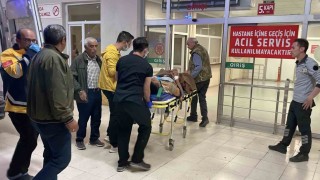 Sivasta kan donduran olay: Kardeşini öldürdü, diğer kardeşi ve kendi oğlunu yaraladı
