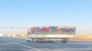 Siverekte mevsimlik işçilerin tehlikeli yolculuğu kamerada