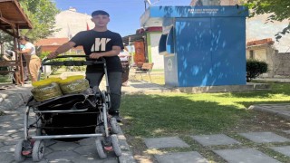 Sokak sokak dolaşıp bebek arabasına yüklediği salamura yaprakları satıyor
