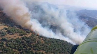 Sökedeki yangın kontrol altına alındı