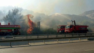 Sökedeki yangın kontrol altına alındı