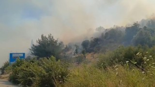 Sökedeki yangın ormana sıçradı