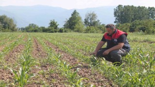 Son gün 10 Haziran