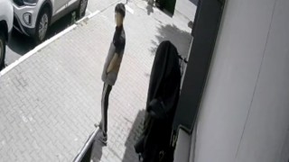 Sultangazide bisikleti böyle çaldı, hırsız rahat tavırlarıyla pes dedirtti