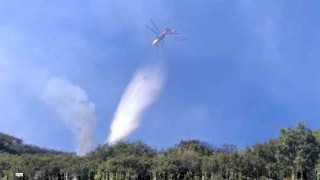 Sultanhisar yangını kontrol altına alındı