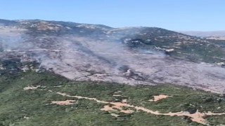 Sultanhisar yangınına müdahale sürüyor