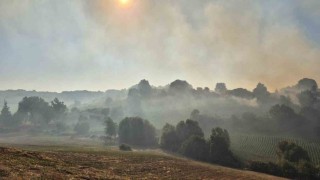 Susurluk Babaköyde arazi yangını kontrol altına alındı