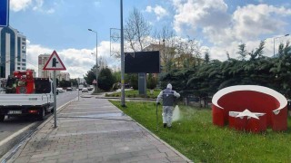 Talasta yaz boyunca haşereyle mücadele devam ediyor