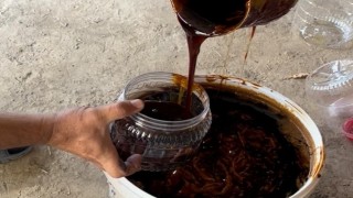 Tarım Müdürü Akardan kışa tatlı hazırlık