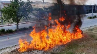 Tatbikatla gösterildi, vatandaşlar uyarıldı: İzmarit büyük yangınlara sebep oluyor