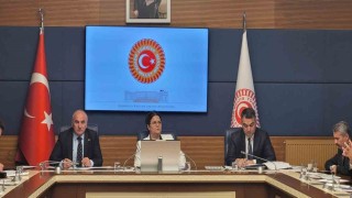 TBMM İnsan Haklarını İnceleme Komisyonu, alt komisyonların kurulması amacıyla toplandı