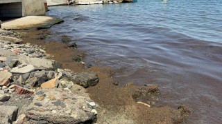 Tekirdağ Sahilinde kırmızı yosun yoğunluğu dikkat çekti