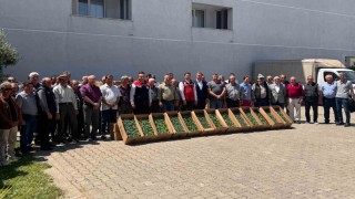 Tekirdağda 314 üreticiye 283 bin sebze fidesi dağıtıldı