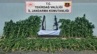 Tekirdağda jandarmadan uyuşturucu ve silah operasyonu