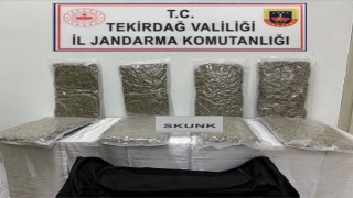 Tekirdağda otoyol gişelerinde 12 kilogram skunk ele geçirildi