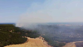 Tekirdağında ormanlık alanda yangına müdahale sürüyor