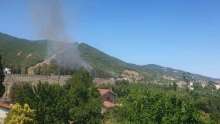 TEM Otoyolu kenarında başlayan yangın ormana sıçradı: 2 saatte söndürüldü