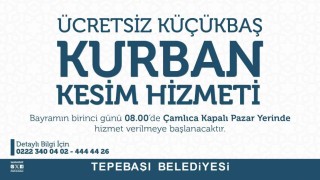 Tepebaşında kesim alanı hazır