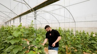 TİKA, Filistinde üretim tesisleri kuruyor