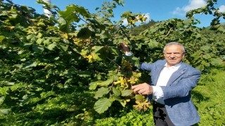 Trabzon Ticaret Borsası Başkanı Ergan: