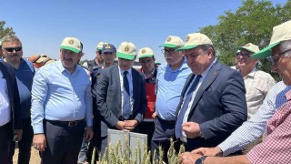 Türkiyede hububatta toprağa düşen her dört tohumdan birini TİGEM üretiyor