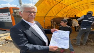 TVHB Merkez Konseyi Başkanı Eroğlu, kurban pazarında veteriner hekimlerin uğradığı şiddete dikkat çekti