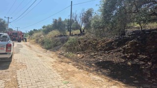 Ulada yol kenarında çıkan yangın korkuttu