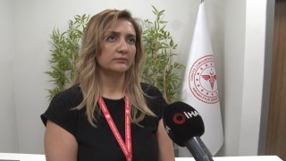 Uzmanından uyarı: Kene, türünden bağımsız olarak birçok hastalığı taşıyabiliyor