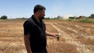 Uzmanlar ve çiftçiler anız yakmanın zararlarına dikkat çekti