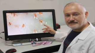 Uzmanlardan Yakarca uyarısı