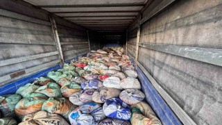 Vanda 22 ton 475 kilogram kaçak avlanmış balık ele geçirildi