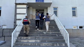 Vanda değişik suçlardan 24 kişi tutuklandı