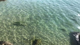 Yakıt dökülen deniz temizlendi: Vatandaşlar soluğu İnkumunda aldı