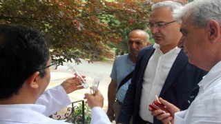 Yalovada kahverengi kokarcaya karşı samuray arılar doğaya salındı