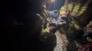 Yangında mahsur kalan kediye yürek ısıtan şefkat