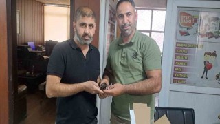 Yaralı halde bulunan ebabil kuşu doğa koruma ekiplerine teslim edildi